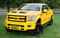 Used-2016-Ford-F-150-TONKA